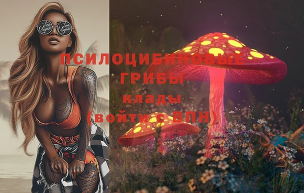 Альфа ПВП Строитель